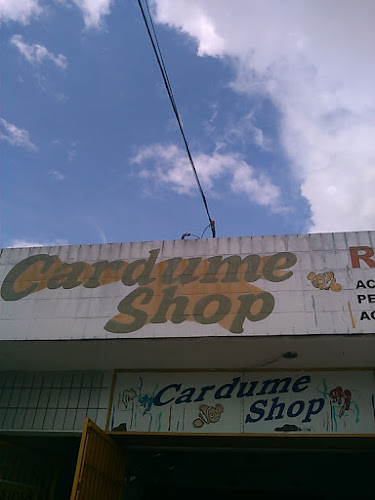 Cardume Shop foto 1