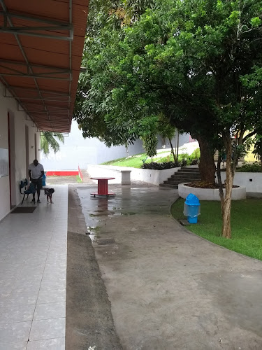 CEARTE - Centro Estadual de Arte foto 1