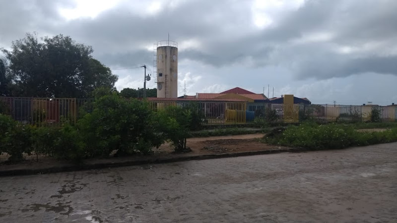 CREI Márcia Suênia Madruga Alves da Silva foto 1