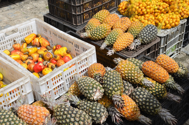 Feira de Produtos Orgânicos no IFPB foto 1