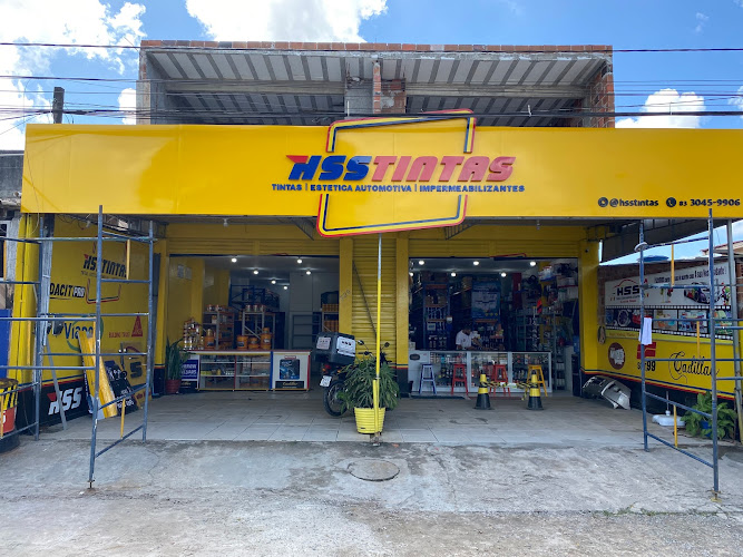 Hss Tintas - Estética Automotiva e Impermeabilizantes foto 1