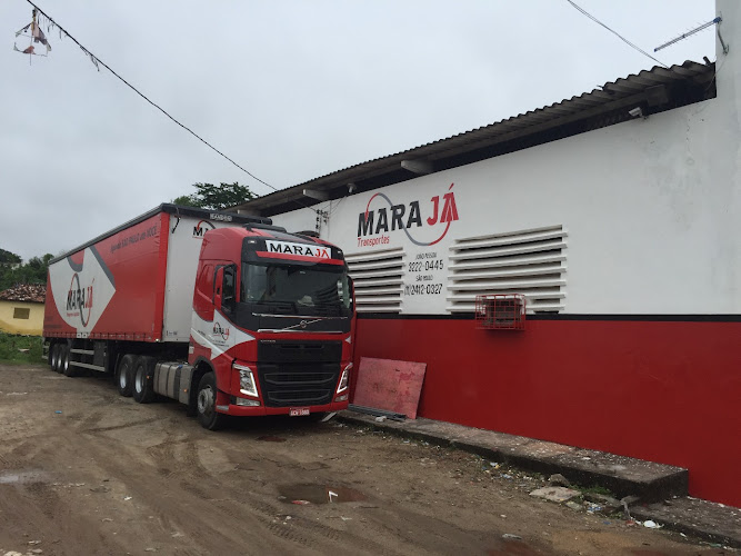 Marajá Transportes e Logística ltda foto 1