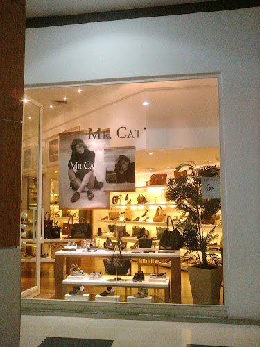 Mr.Cat foto 1