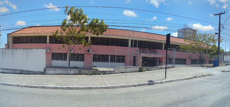 Municipal School of Education Elementary Violet Ant foto 1