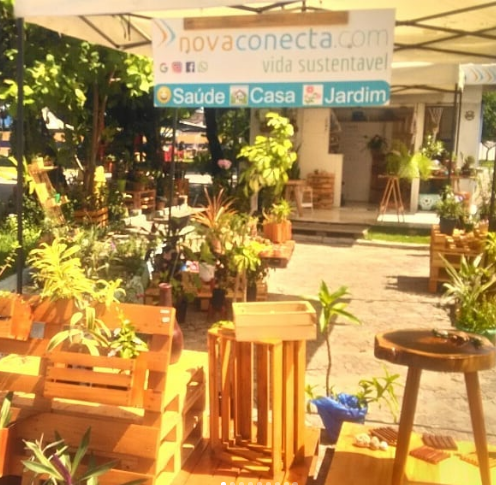 NOVA CONECTA - FLORA foto 1