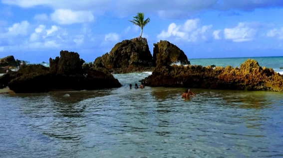 Passeios em João Pessoa, Viagens, Guia Credenciado, Turismo em João Pessoa foto 1