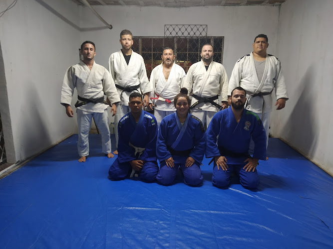 Pinheiros dojo foto 1