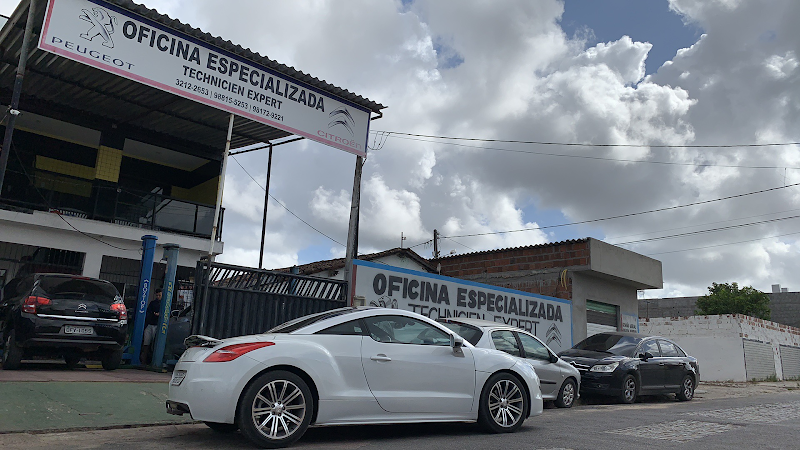 Specialized shop in Peugeot and Citroen. foto 1