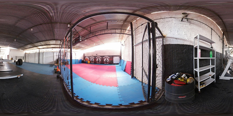 TOP Training Multifuncional - CT Janio KB foto 1