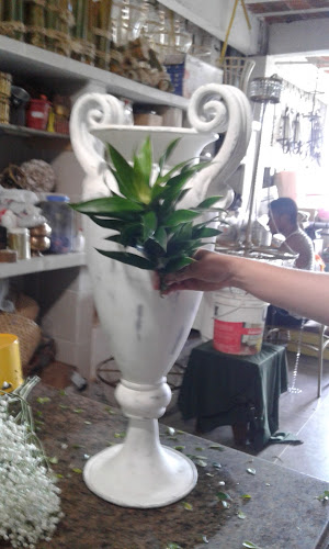 Uniflor foto 1