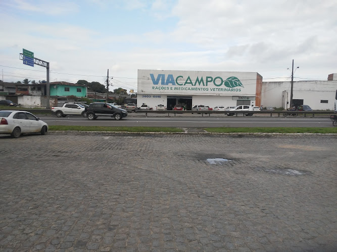 Via Campo foto 1